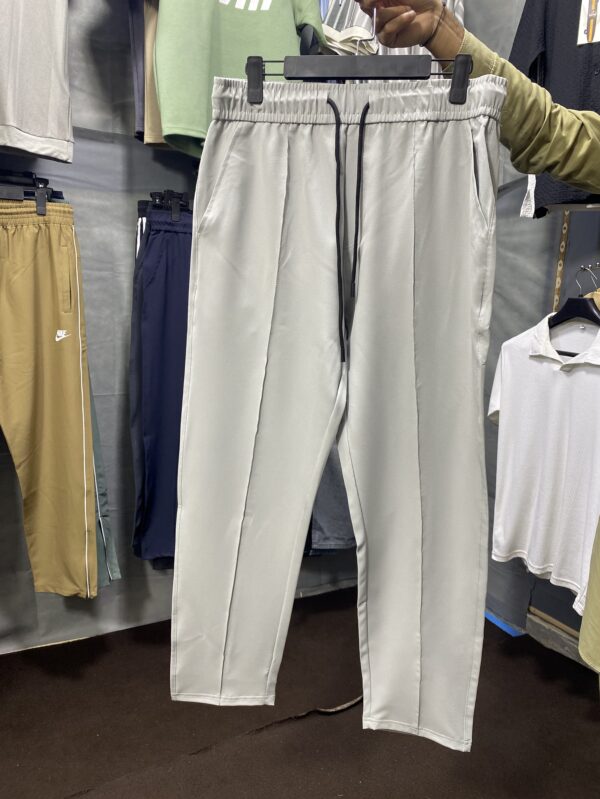 Pant Trouser Light Grey